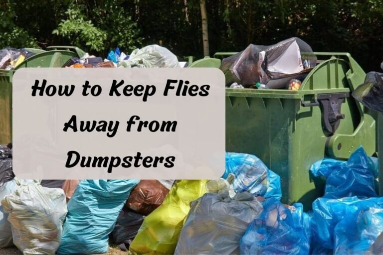 How to Keep Flies Away from Dumpsters