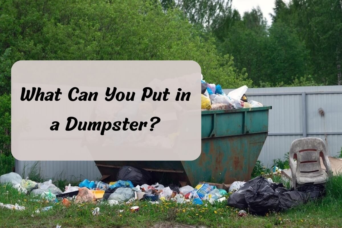 What Can You Put in a Dumpster