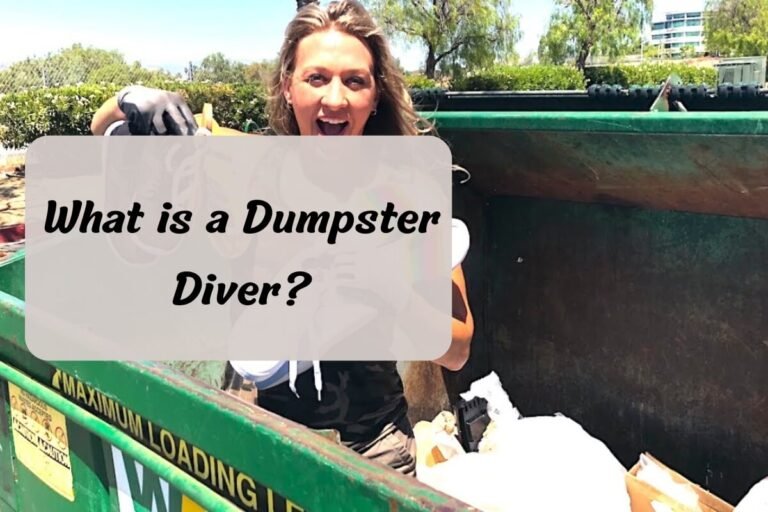 What is a Dumpster Diver