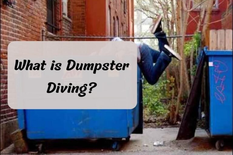 What is Dumpster Diving