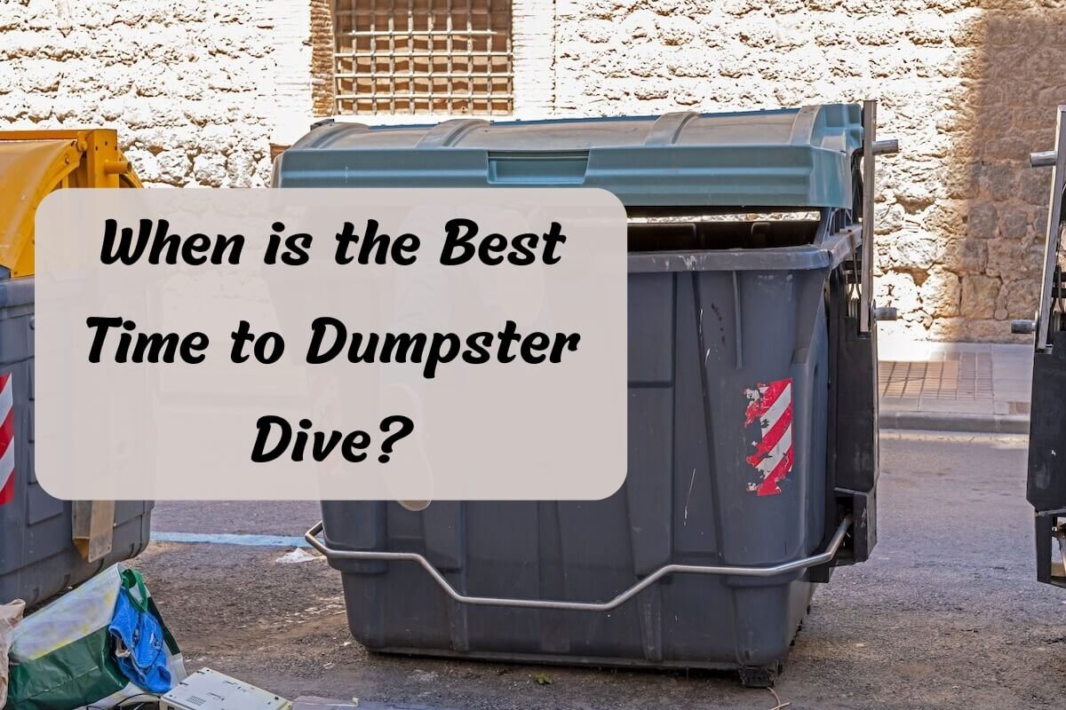 When is the Best Time to Dumpster Dive