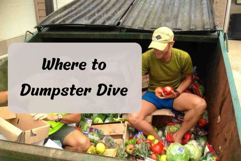 Where to Dumpster Dive